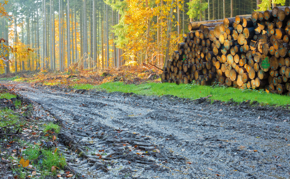 Three alternative IHT planning solutions