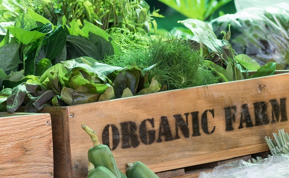 Industry Voice: The planet is collapsing under our eating habits