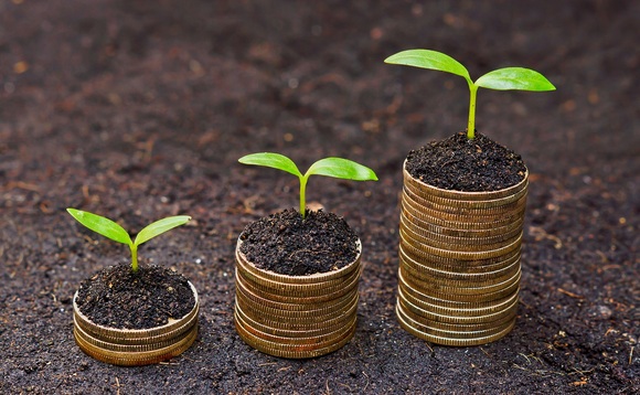 Stonehage Fleming IM adds sustainable multi-asset mandate