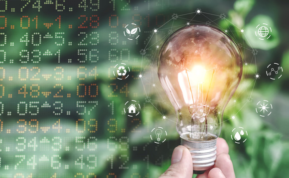 The engagement versus divestment debate is going to intensify in some fund houses, according to one expert The engagement versus divestment debate is going to intensify in some fund houses, according to one expert
