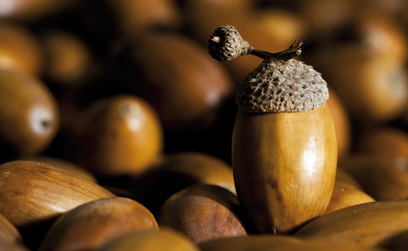 The board of the Acorn Income trust has recommended liquidation The board of the Acorn Income trust has recommended liquidation