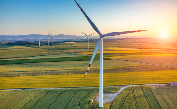 European companies are leading the pack in the race to achieve net zero European companies are leading the pack in the race to achieve net zero