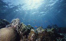 Time is running out for investors to act on improving the world's biodiversity Time is running out for investors to act on improving the world's biodiversity