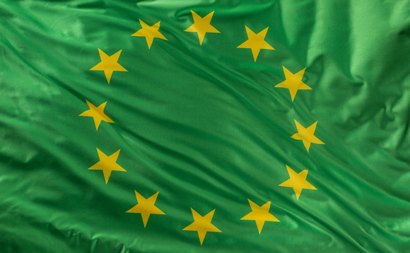 Eu green flag 580x358