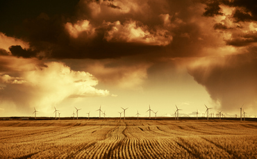 IW Long Reads: Are carbon offsets the answer to the climate change crisis? - Investment Week