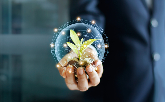 What are the key trends investors should focus on to achieve their net zero ambitions? What are the key trends investors should focus on to achieve their net zero ambitions?